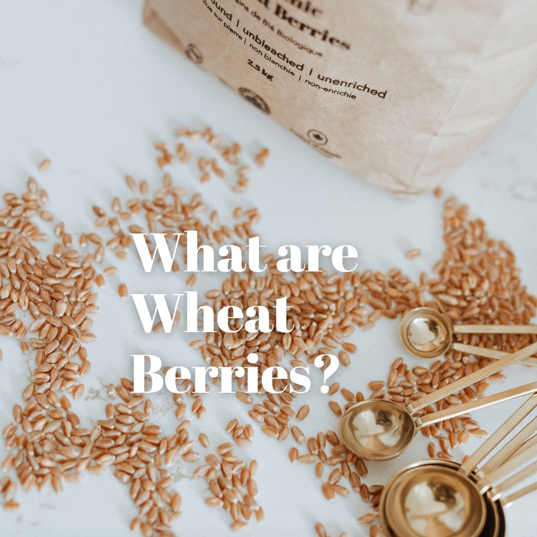 What Are Wheat Berries? Better Basics Milling Company