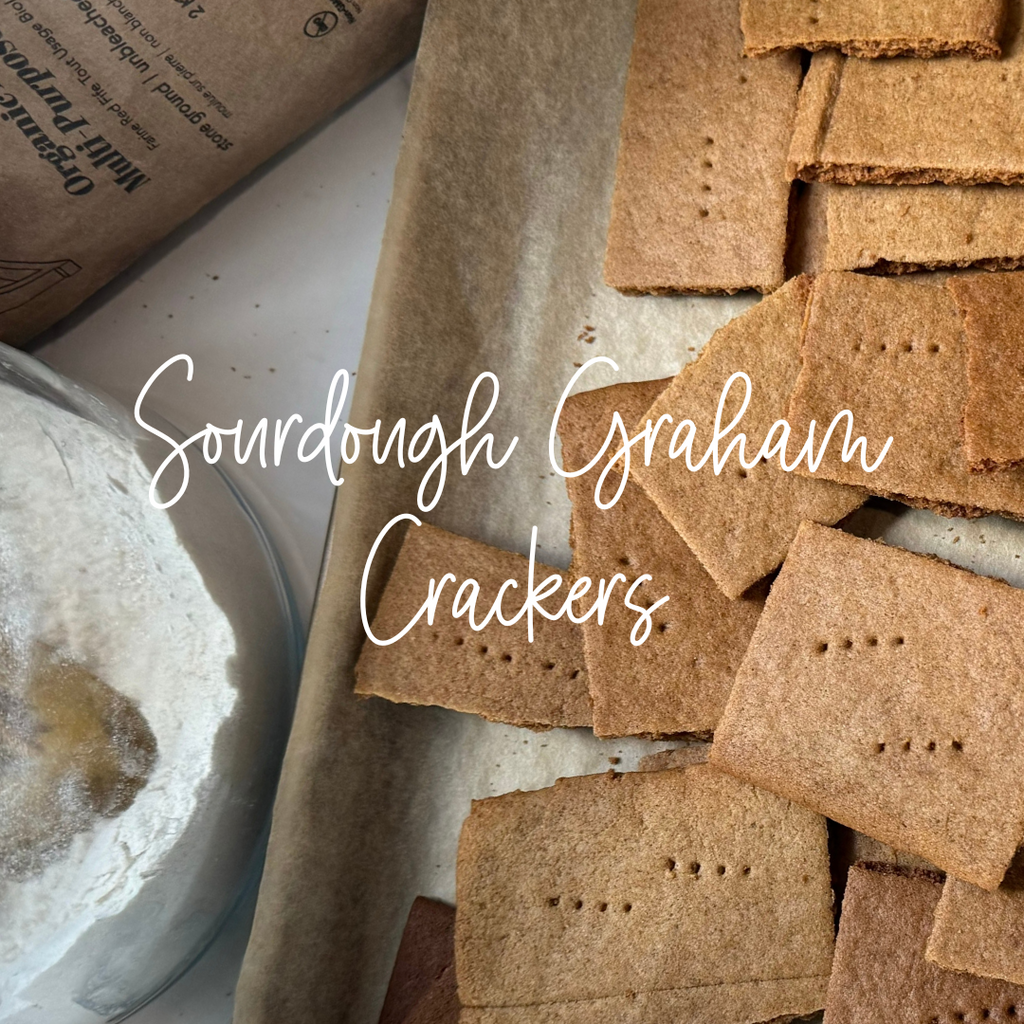 Sourdough Graham Crackers