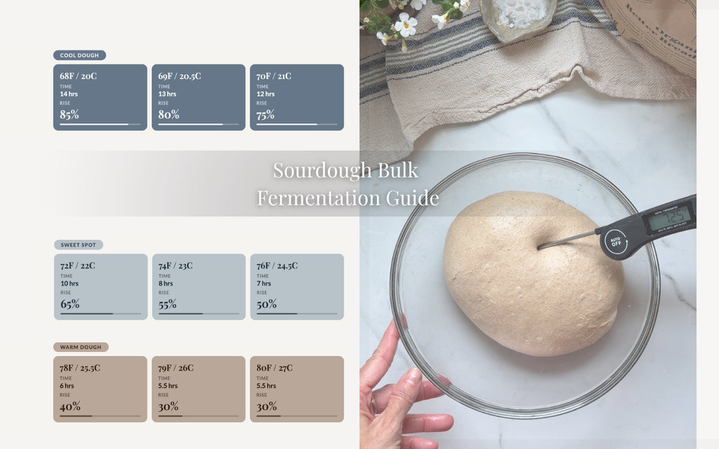 Sourdough Bulk Fermentation Guide