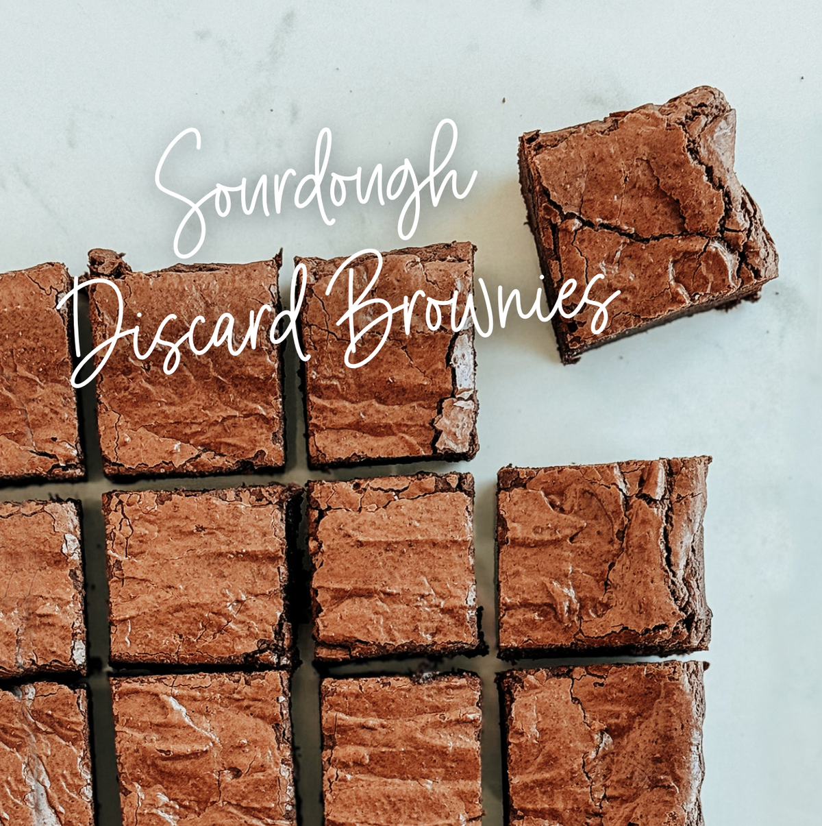 Sourdough Discard Brownies | Better Basics Milling Company