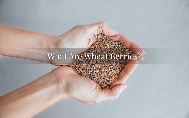 Organic wheat berries explained, whole wheat kernels for milling, baking, and cooking.
